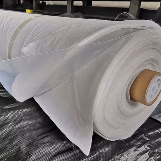 HDPE водонепроницаемая геомембрана, пластиковый лист облицовки пруда/полиэтиленовая гидроизоляционная мембрана/дренажный геокомпозит